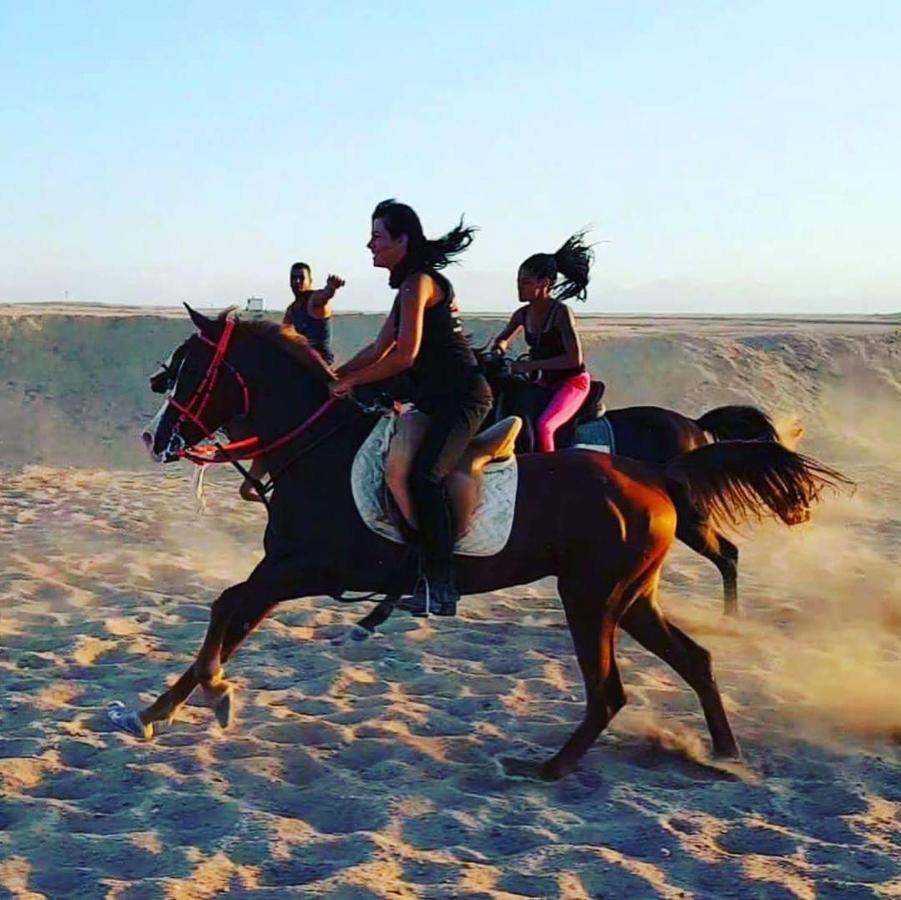 Happy Bedouin House Petra Bed and Breakfast Al Hayy Εξωτερικό φωτογραφία